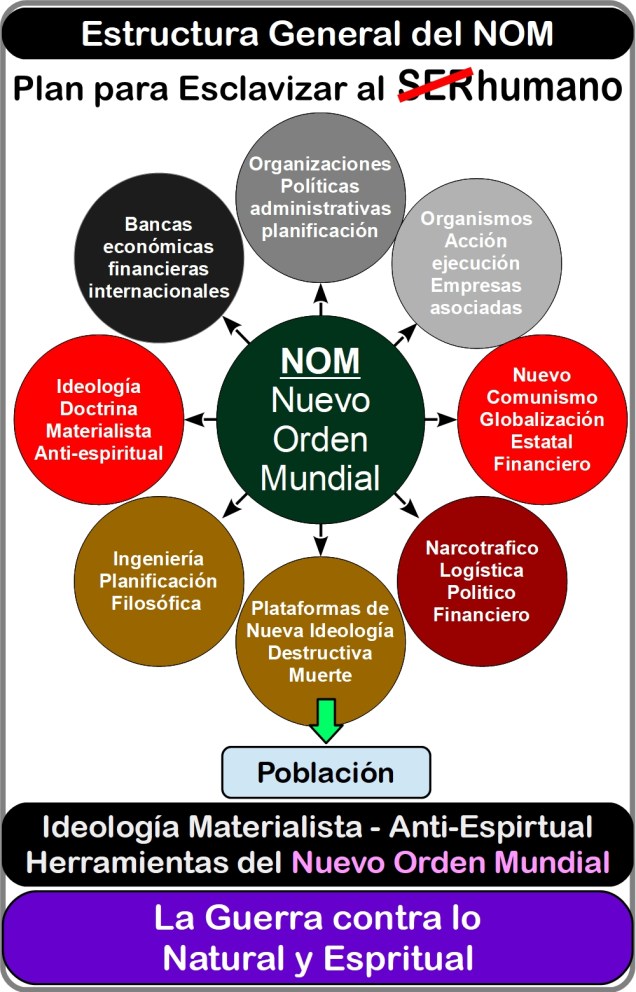 NOM Grafico 2